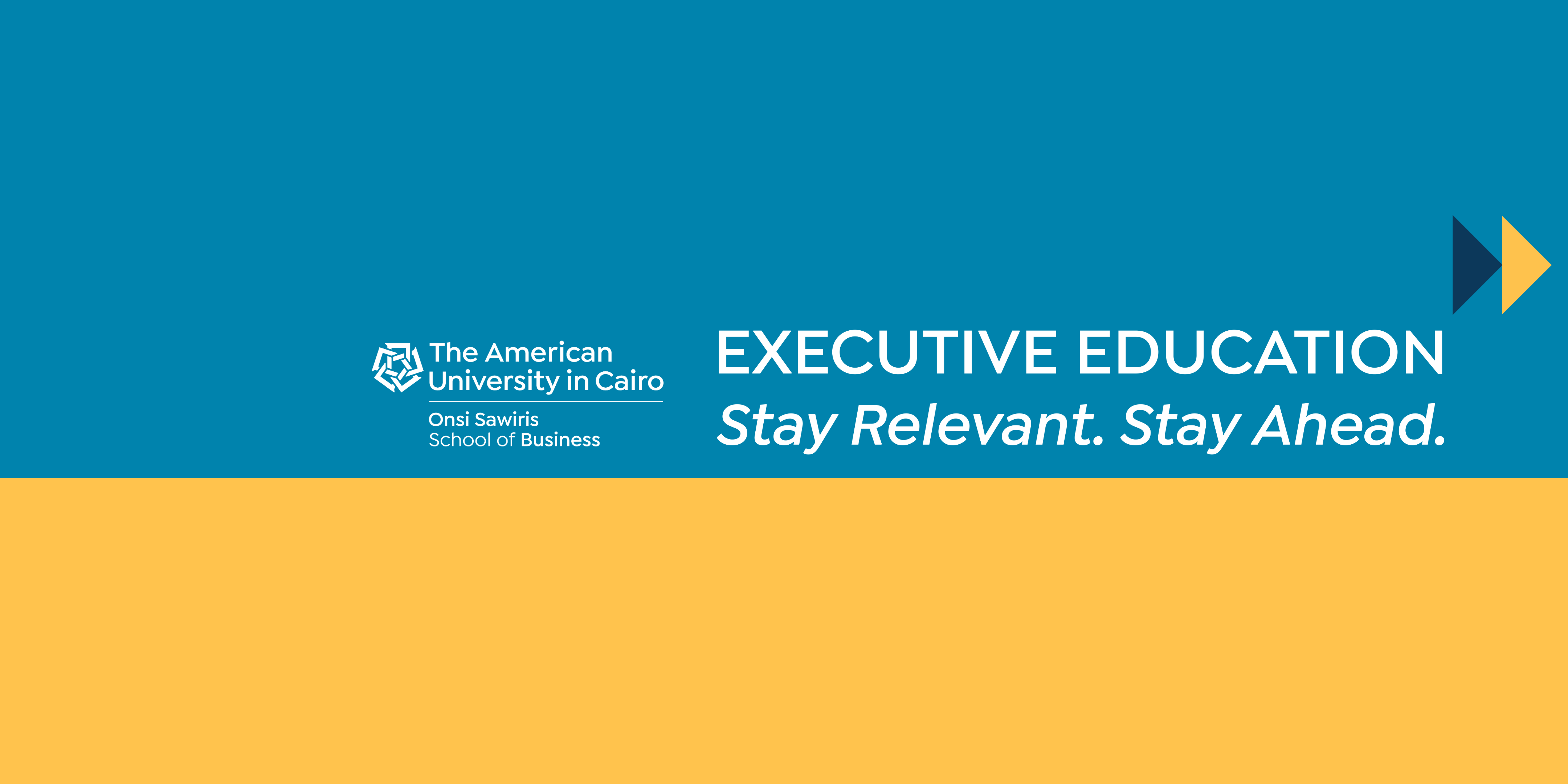 Collaborative Leadership - Raya Distribution 